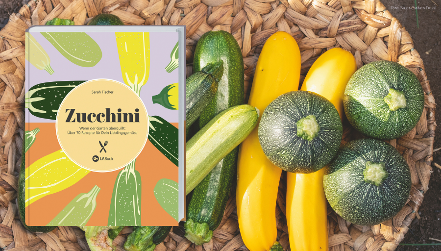 Entdecken Sie unser Kochbuch "Zucchini"