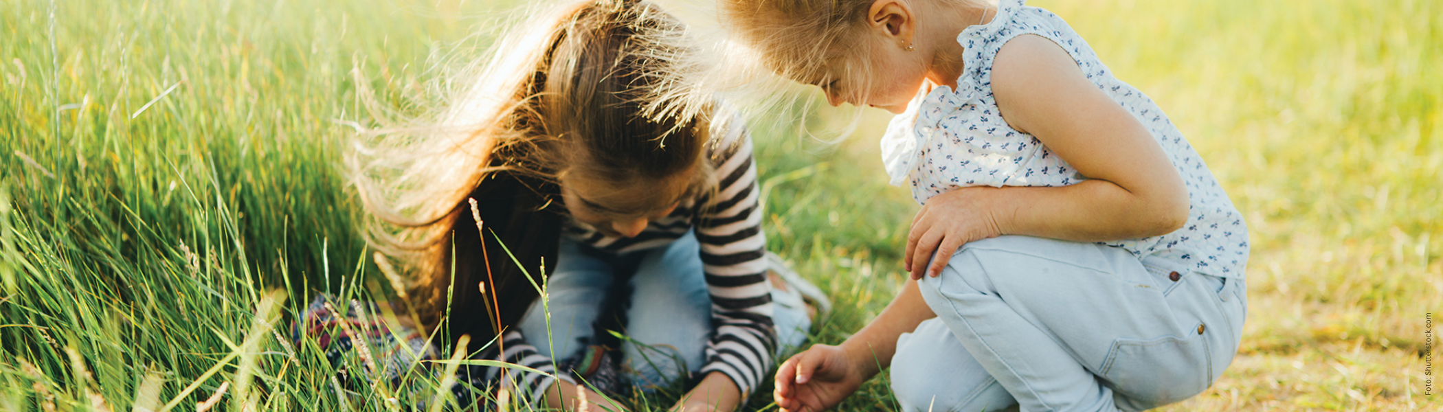 Kinder spielen auf einer Wiese