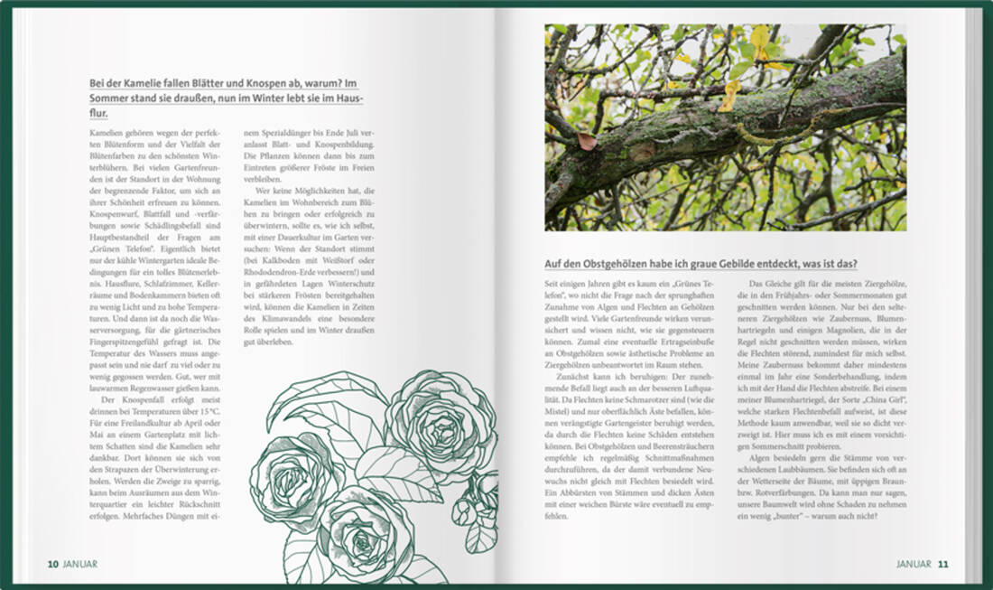 MDR Garten- Das grüne Telefon von Landwirtschaftsverlag GmbH, Gartenratgeber-Buch mit grünen Pflanzenzeichnungen