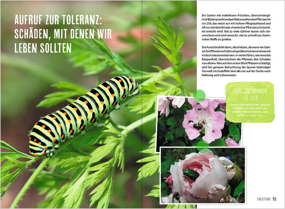 MDR Garten - Erfolgreich Gärtnern ohne Gift
