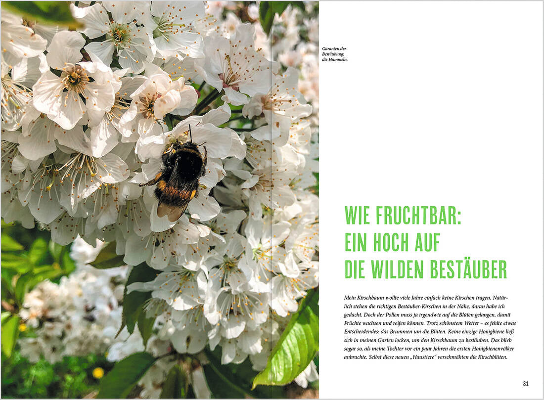 MDR Garten - Richtig gärtnern für Nützlinge