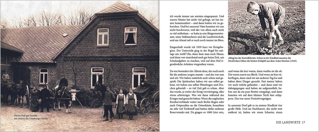 Als der Trecker kam und das Pferd verschwand - Buch