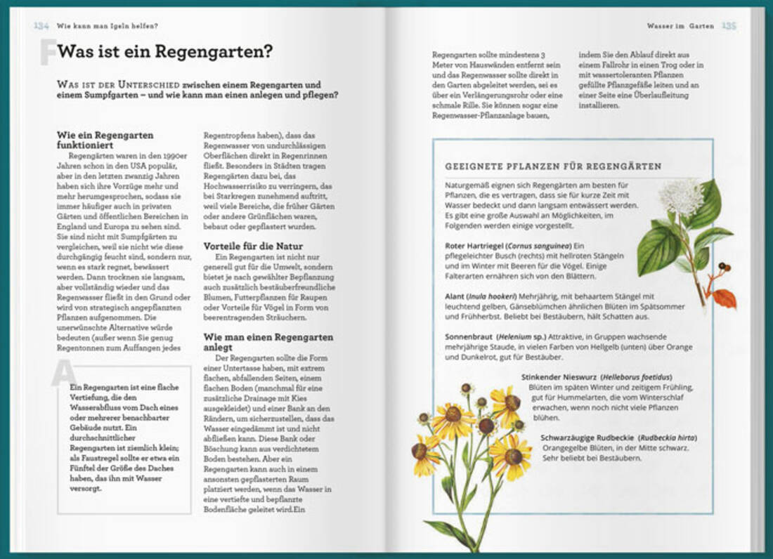 Können Igel schwimmen und gehen Bienen baden?