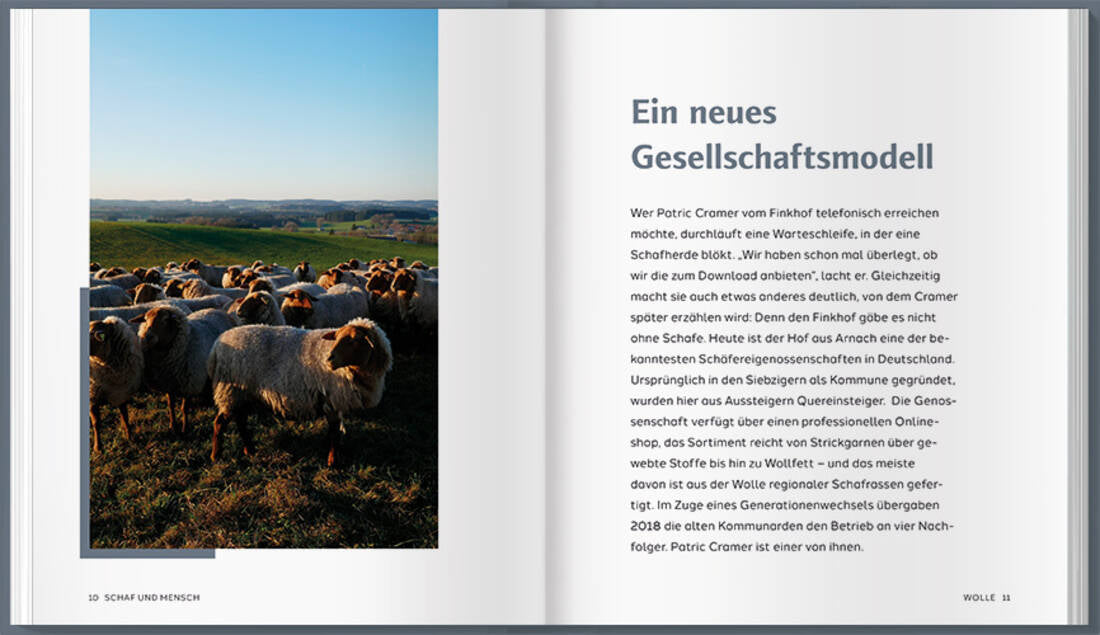 Schaf und Mensch