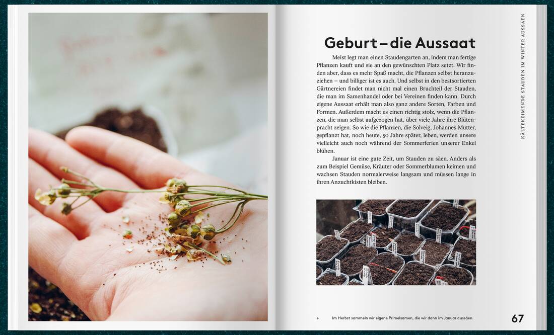 Mit Kaltanbau zu grünen Wundern
