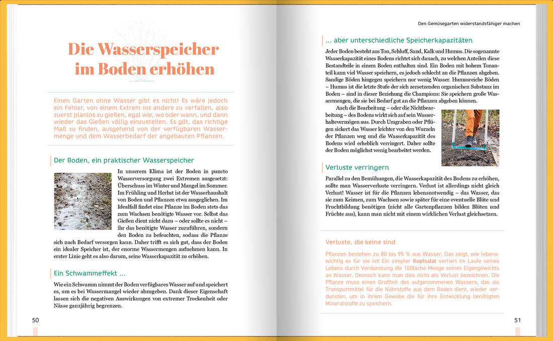 Erntewunder trotz Wetterchaos