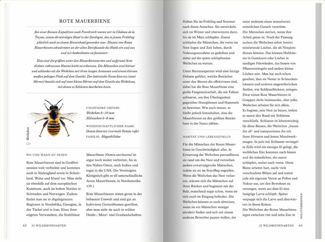 Unsere Wildbienen