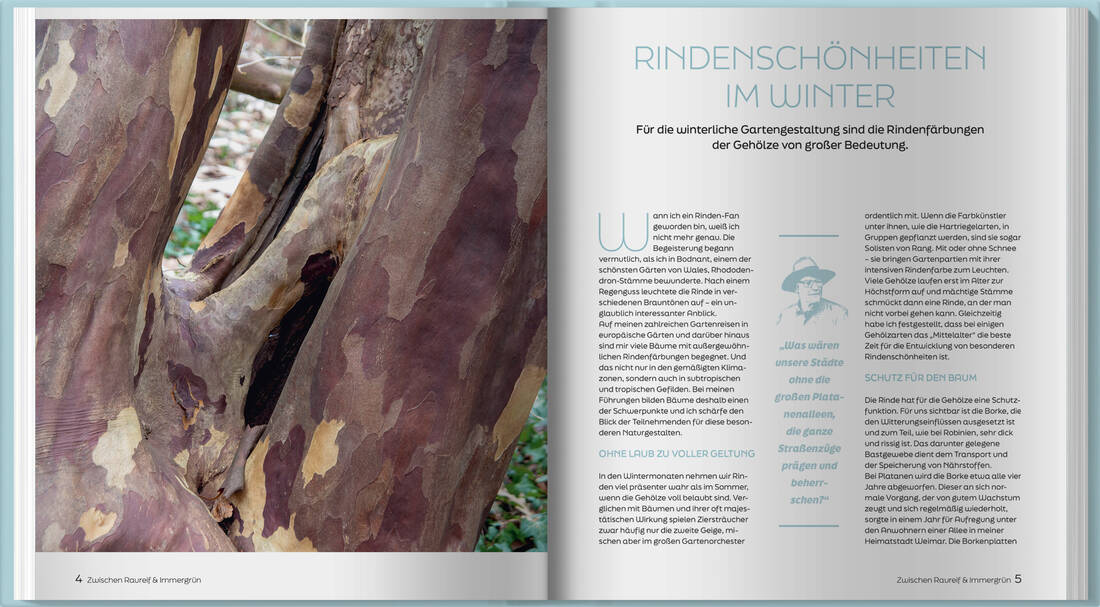 Zwischen Raureif und Immergrün