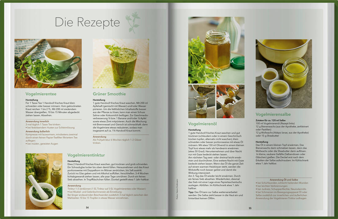 Landlust Naturapotheke 2