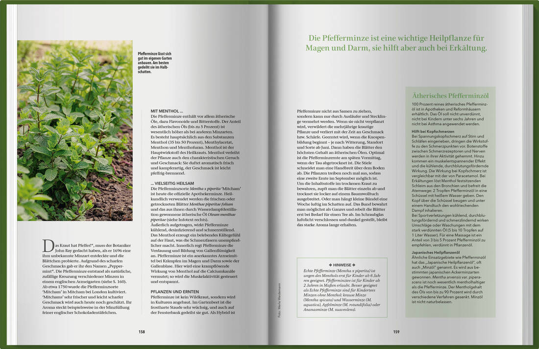 Landlust Naturapotheke 2
