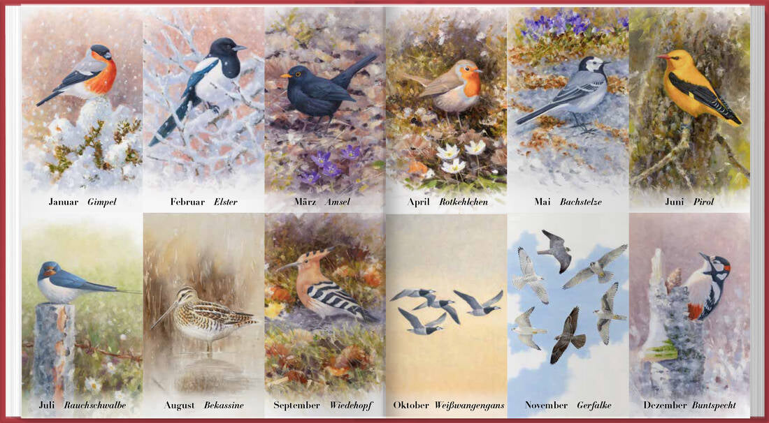Der illustrierte Vogelkalender 2027 von Landwirtschaftsverlag GmbH als Vogelarten Buchkalender mit farbigen Monatsbildern