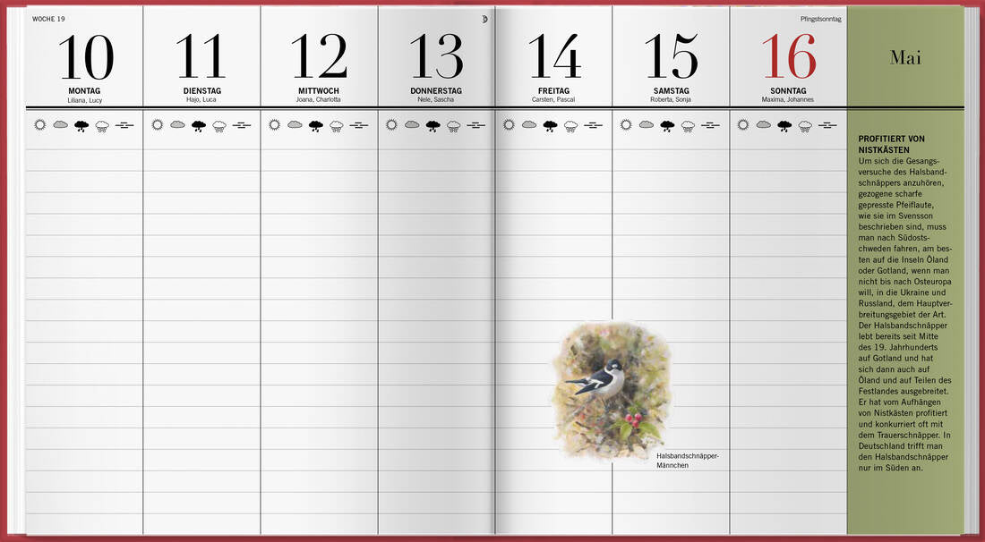 Der illustrierte Vogelkalender 2027 von Landwirtschaftsverlag GmbH als Buchkalender mit Vogelarten zum Bestimmen, grün