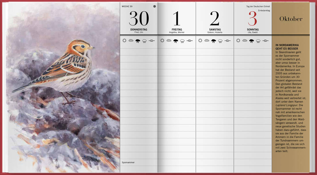 Der illustrierte Vogelkalender 2027 von Landwirtschaftsverlag GmbH als Buchkalender mit Vogelarten zum Bestimmen