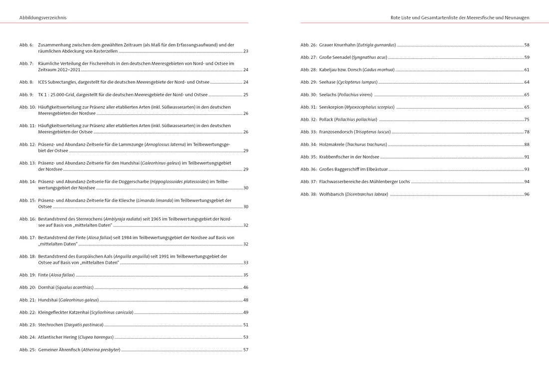 NaBiV Heft 170/9: Rote Liste und Gesamtartenliste der Fische und Neunaugen (Elasmobranchii, Actinopt