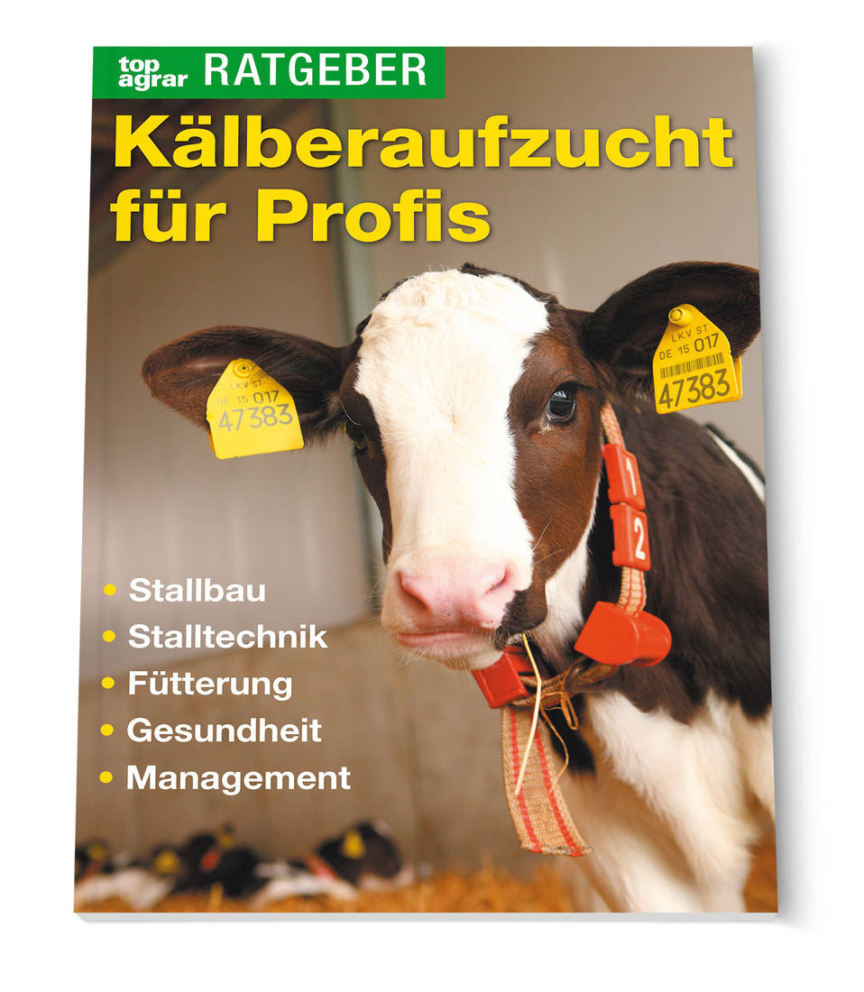 Kälberaufzucht für Profis
