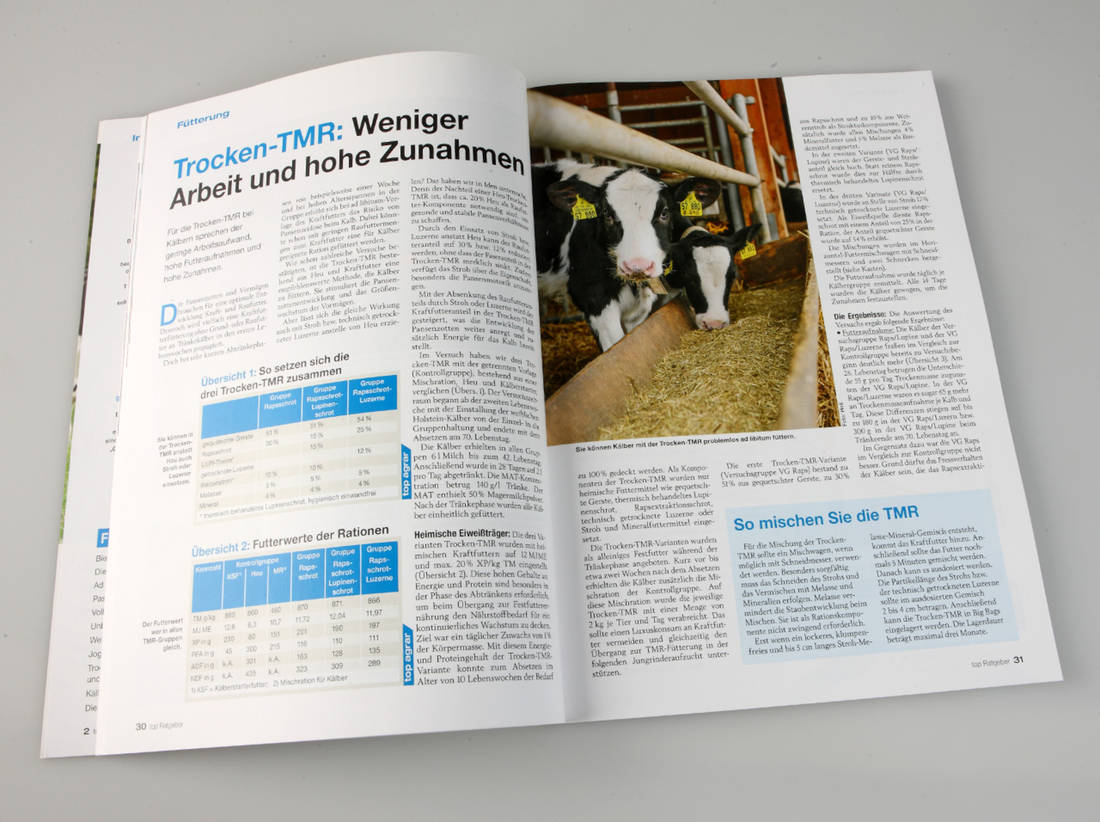 Kälberaufzucht für Profis