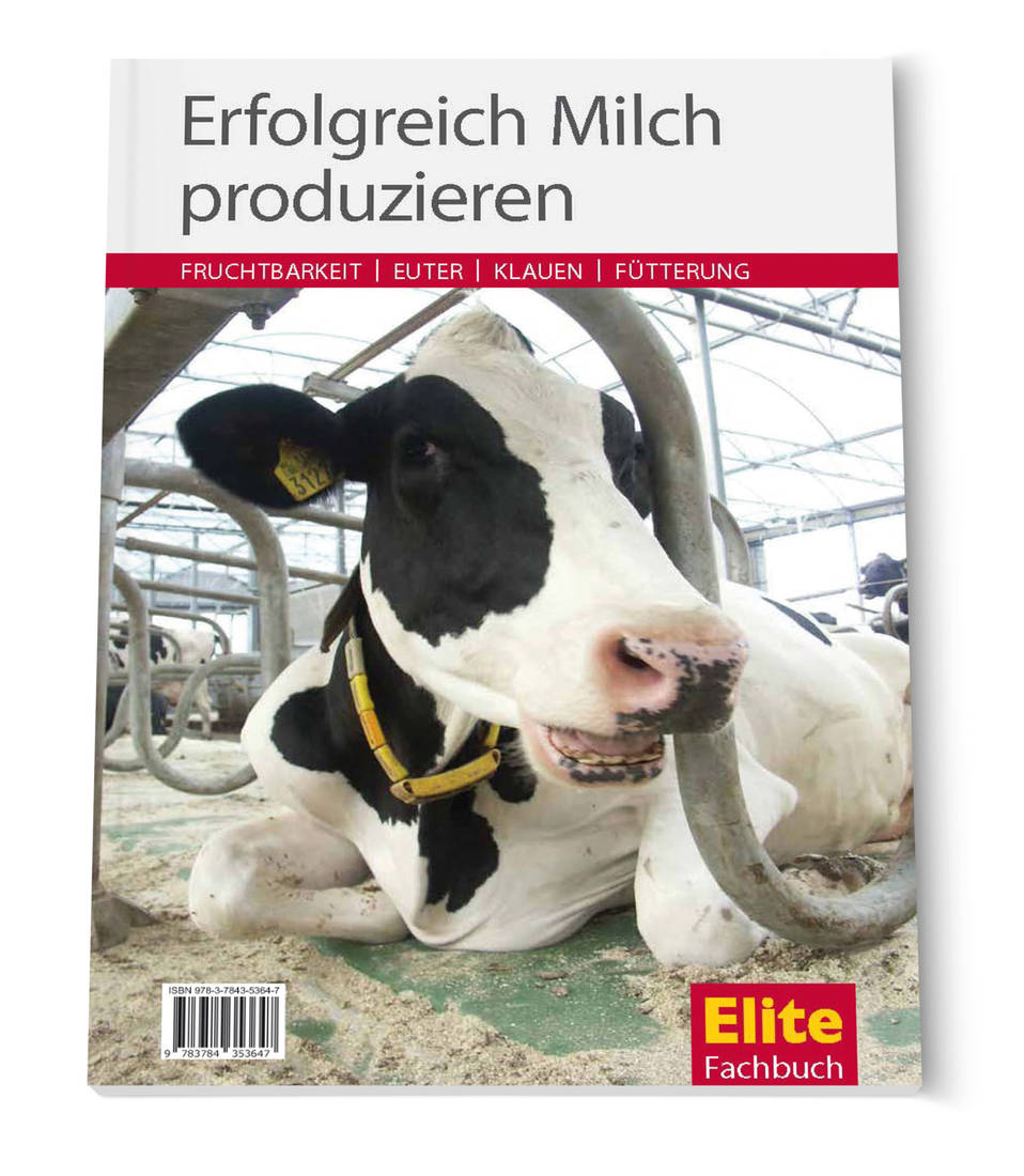 Erfolgreich Milch produzieren