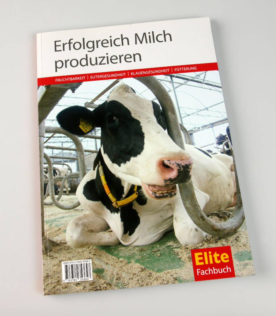 Erfolgreich Milch produzieren