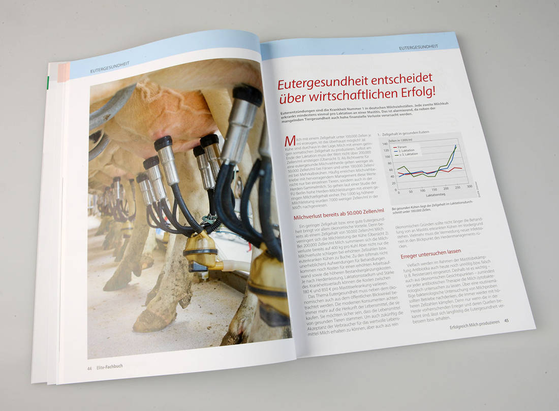 Erfolgreich Milch produzieren