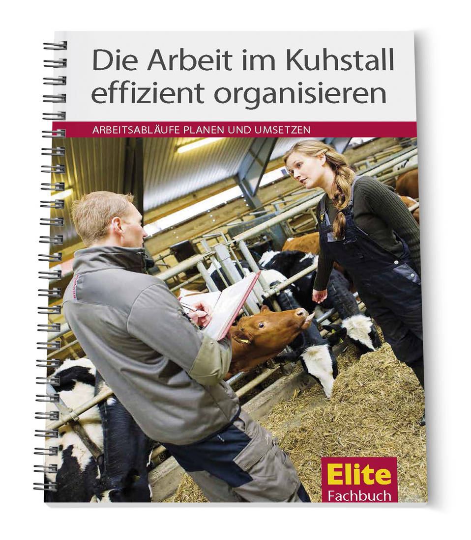 Die Arbeit im Kuhstall effizient organisieren