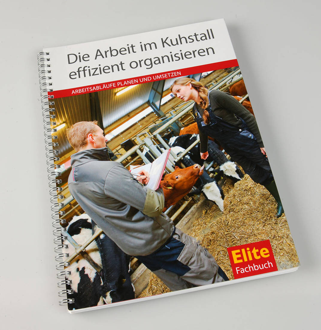Die Arbeit im Kuhstall effizient organisieren