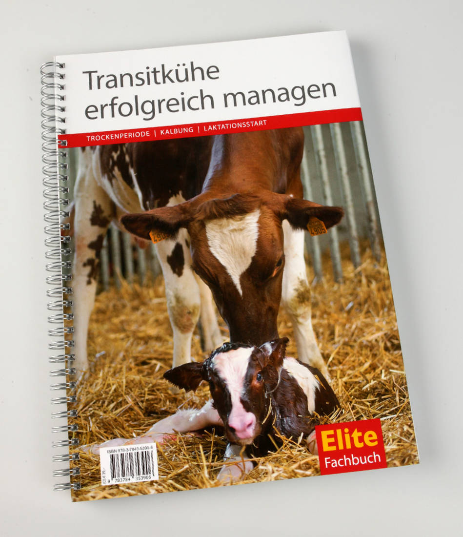 Transitkühe erfolgreich managen