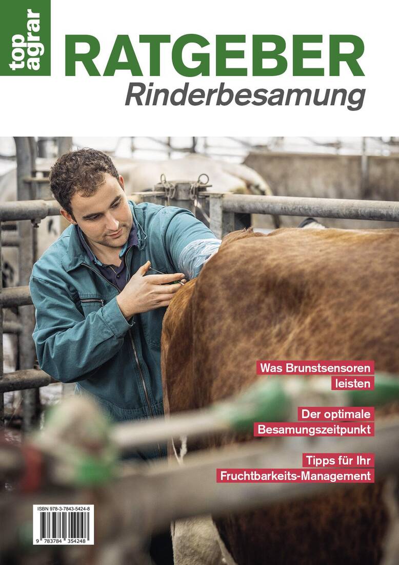 Ratgeber Rinderbesamung