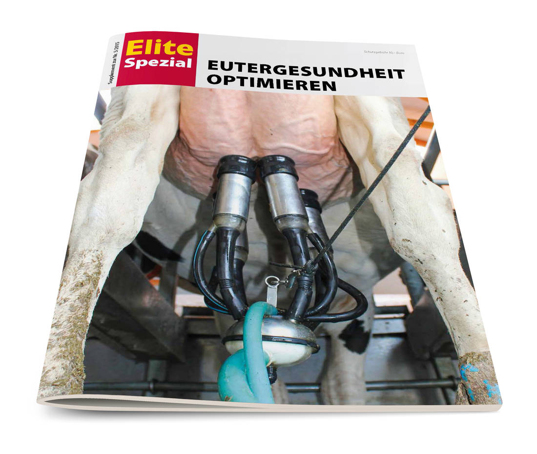 Eutergesundheit optimieren