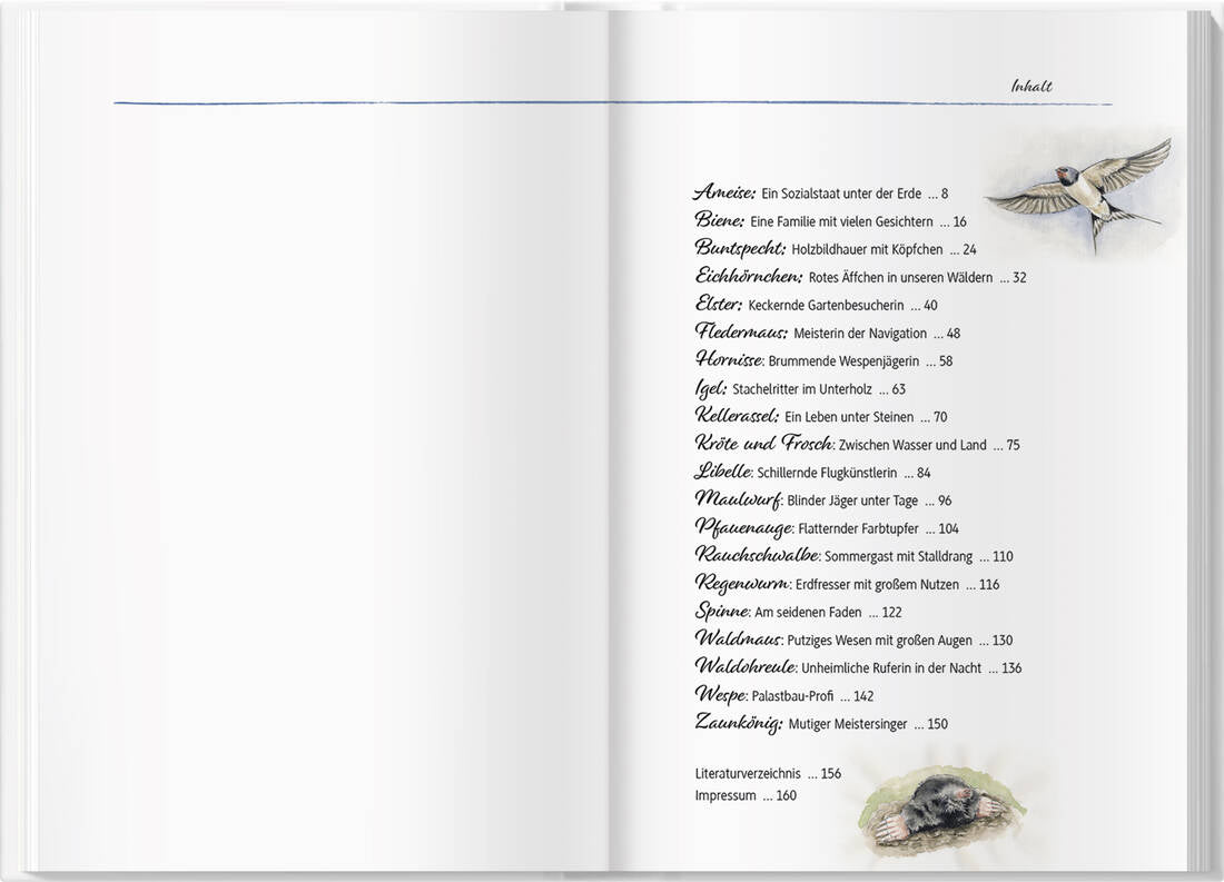 Von Elstern, Eichhörnchen und Erdhummeln