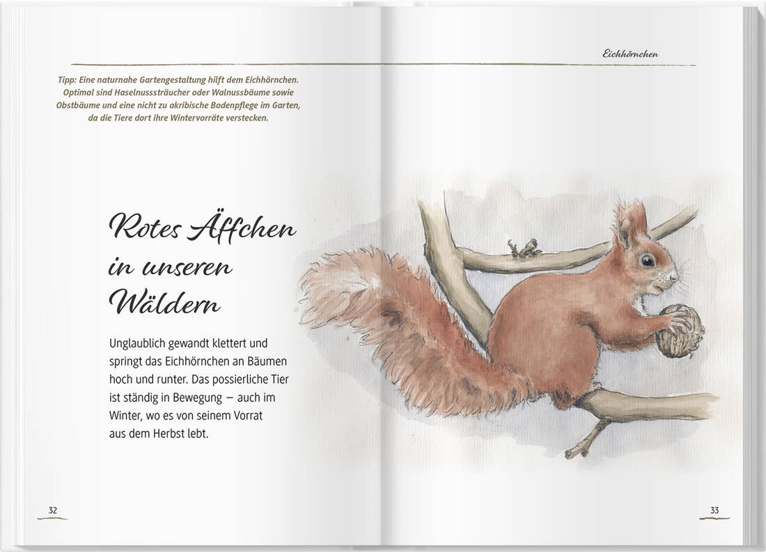 Von Elstern, Eichhörnchen und Erdhummeln