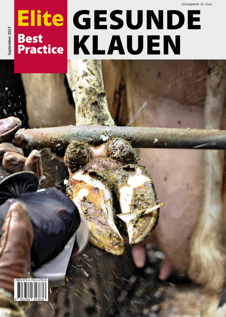 Elite Best Practice Gesunde Klauen von Landwirtschaftsverlag GmbH, Ratgeber zur Klauengesundheit im Rinderbestand