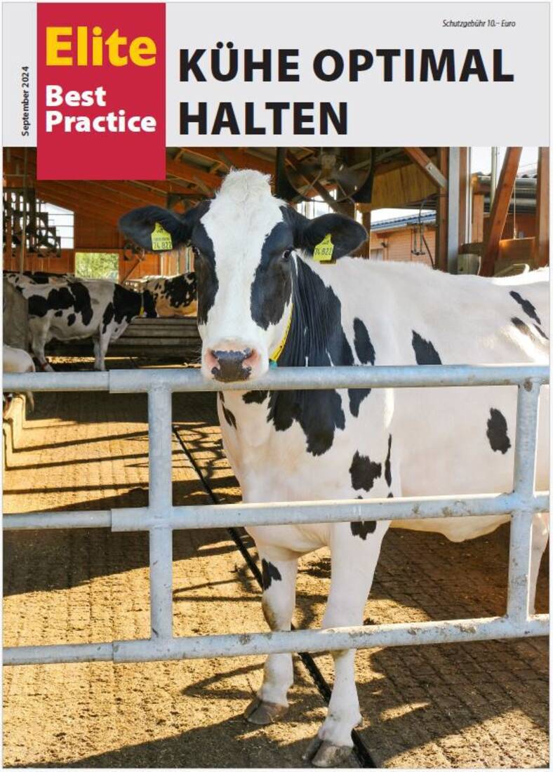 Elite Best Practice "Kühe optimal halten"