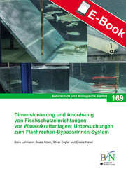 PDF: NaBiV Heft 169: Dimensionierung und Anordnung von Fischschutzeinrichtungen vor Wasserkraftanlag