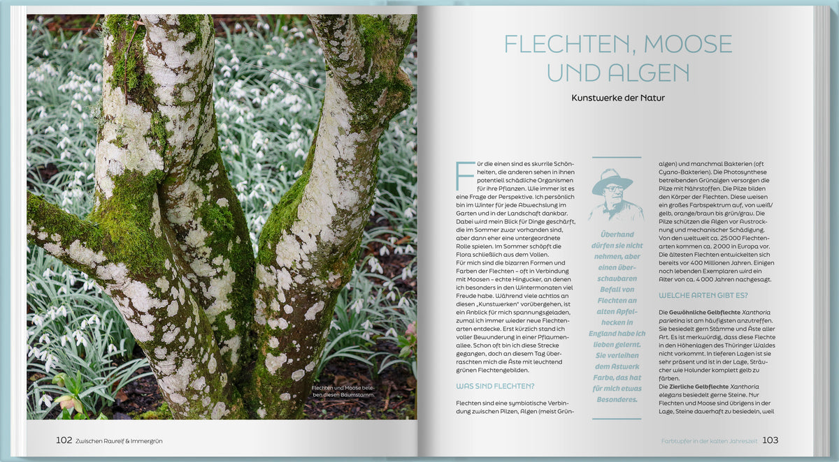 Zwischen Raureif und Immergrün