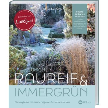 Zwischen Raureif und Immergrün