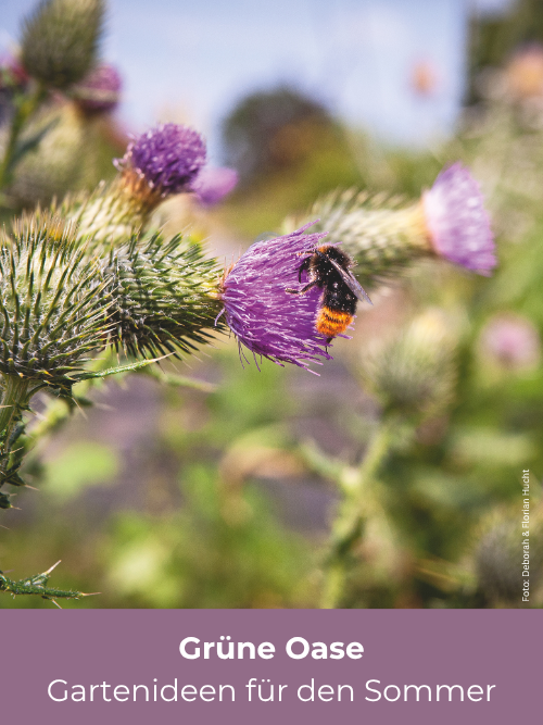Gartenideen für den Sommer finden Sie in unseren Gartenbüchern