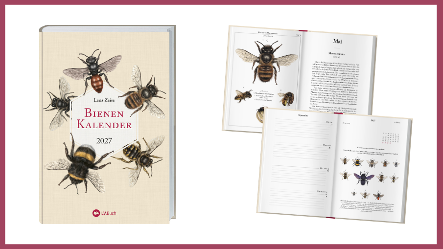 Bienenkalender von Lena Zeise