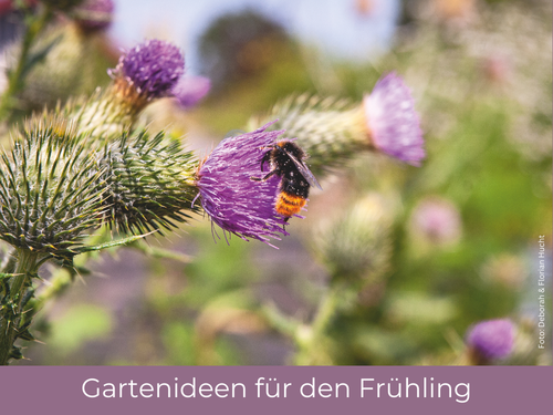 Der Garten ruft - Entdecken Sie unsere Natur- und Gartenratgeber
