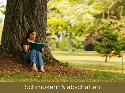 Gem&uuml;tliche Lesestunden - Entdecken Sie unsere Romane und Sachb&uuml;cher