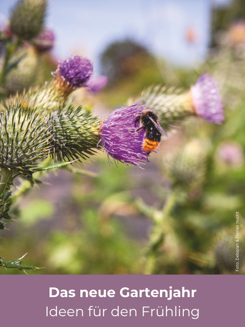 Der Garten ruft - Entdecken Sie unsere Natur- und Gartenratgeber