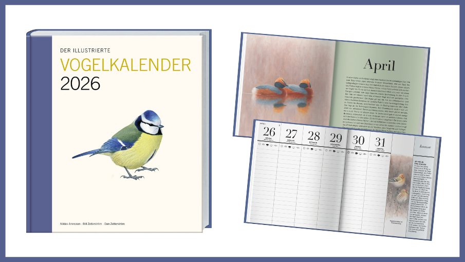 Der illustrierte Vogelkalender