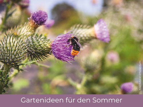 Gartenideen für den Sommer finden Sie in unseren Gartenbüchern