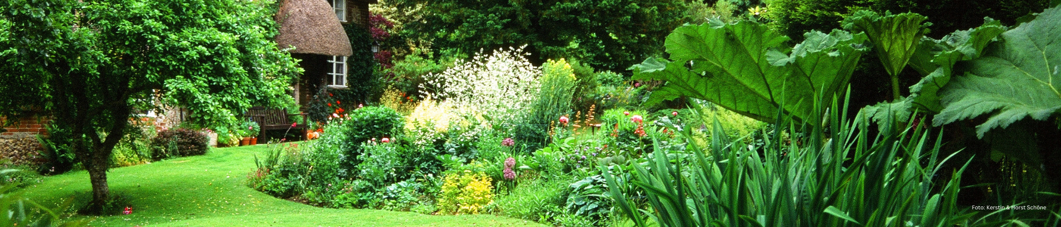 Hier finden Sie Gartenbücher mit besonderen Ideen für Ihren Garten oder Balkon.