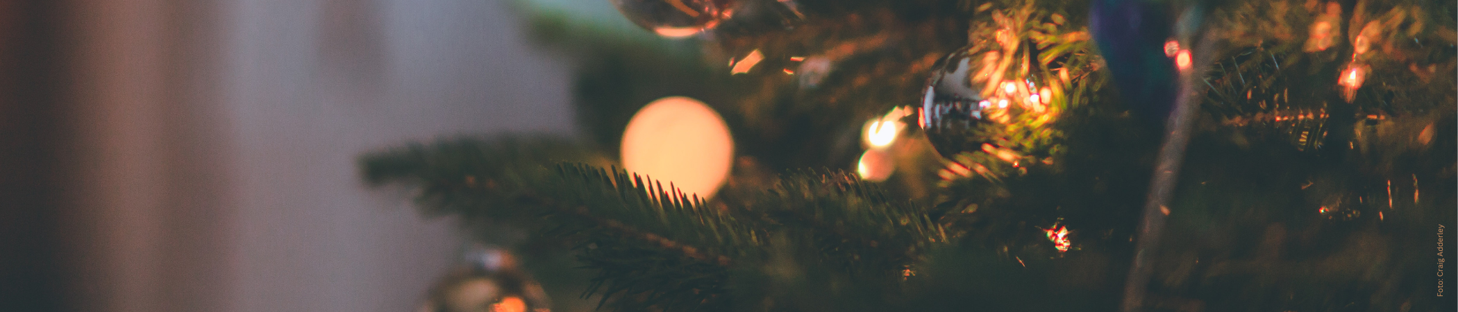 Hier finden Sie Kochbücher für die Weihnachtszeit