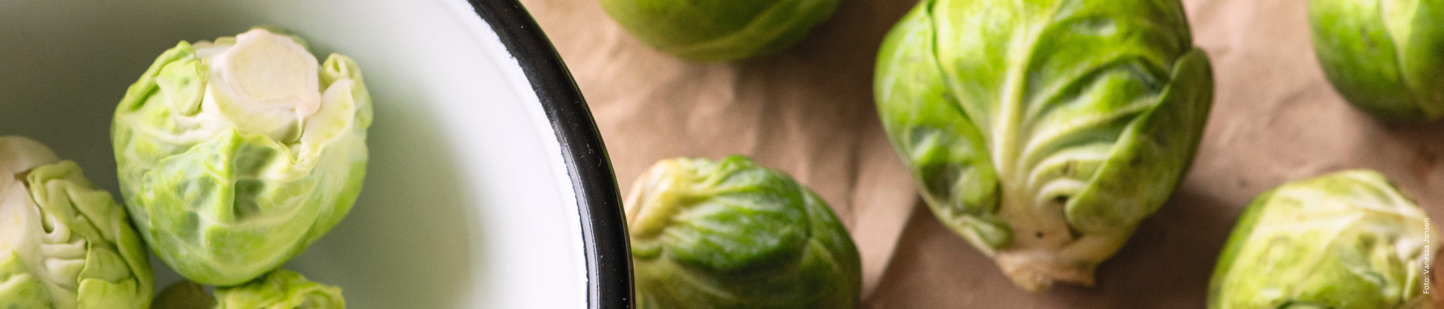 Hier finden Sie Kochbücher für die Winterküche
