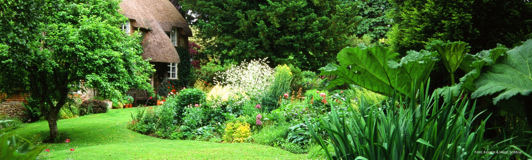 Hier finden Sie Gartenbücher mit besonderen Ideen für Ihren Garten oder Balkon.