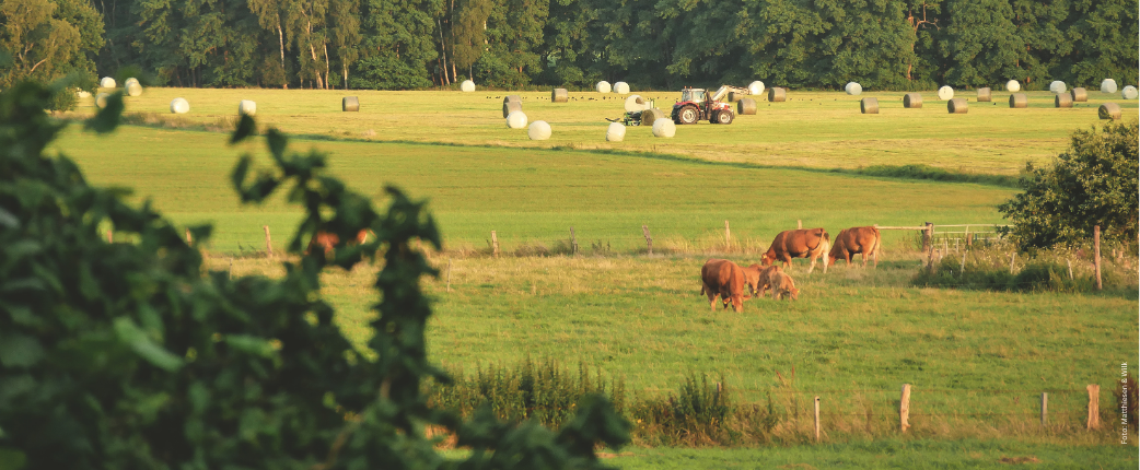 Hier finden Sie Bücher zur Landwirtschaft