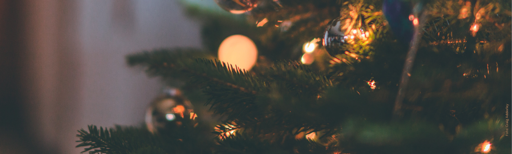 Hier finden Sie Kochbücher für die Weihnachtszeit