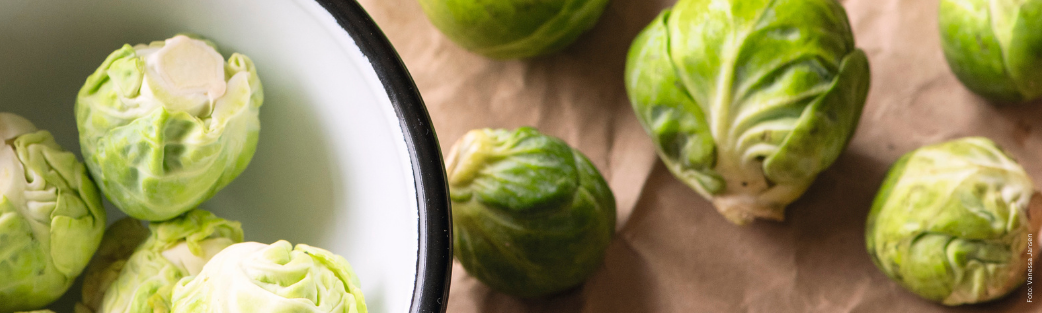 Hier finden Sie Kochbücher für die Winterküche