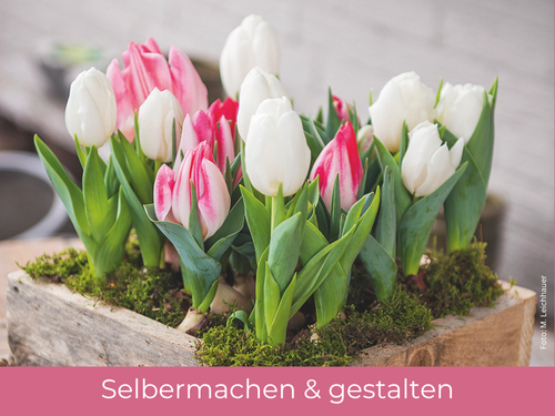 Draußen kreativ: Hier finden Sie Bücher mit Projekten und Ideen für Garten & Balkon